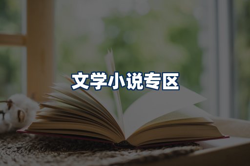 文学小说PDF展示